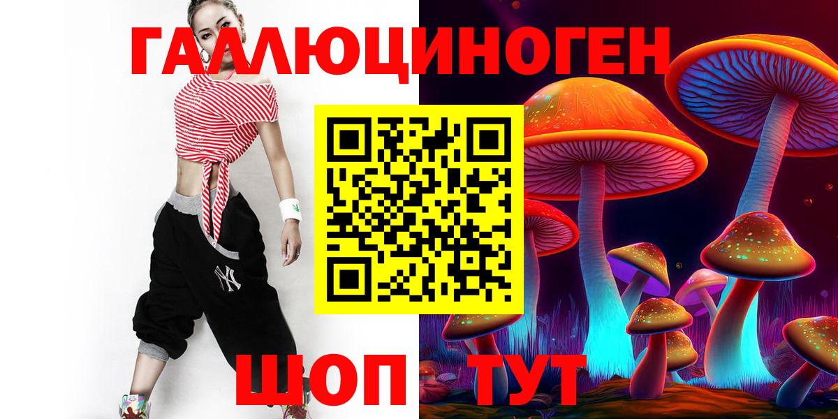 Истра  Галлюциногенные грибы Psilocybine cubensis  Вход с VPN 